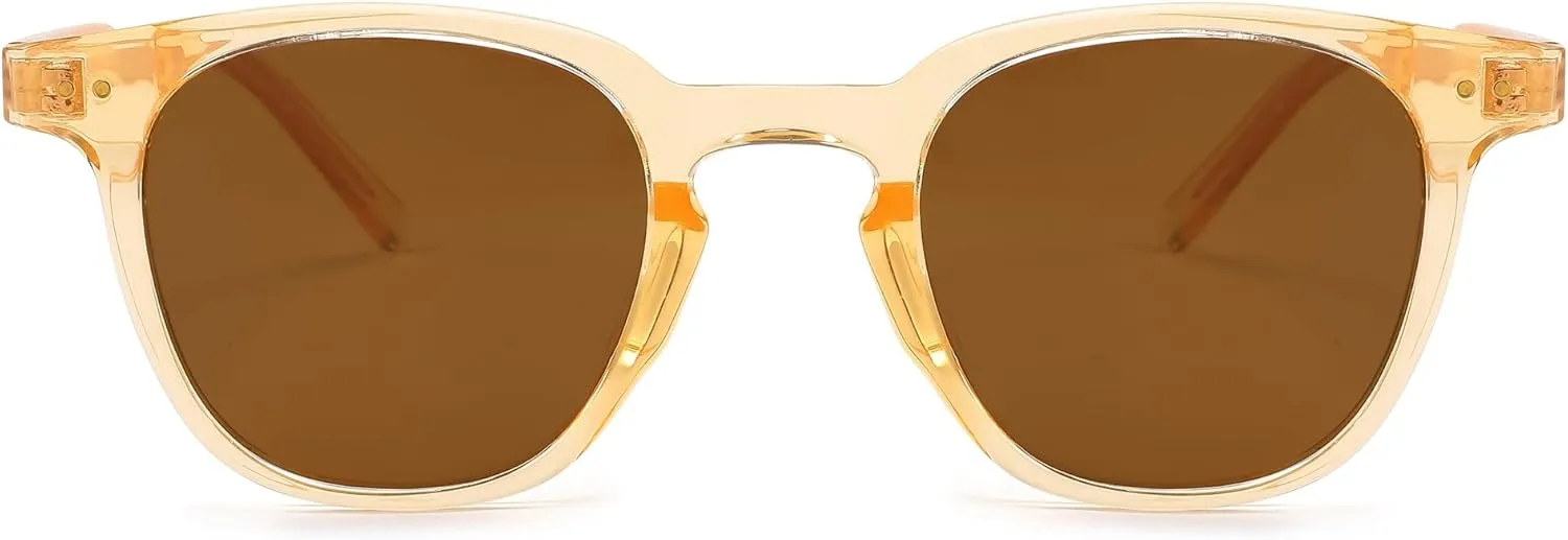 FEISEDY Classic Polarized Sunglasses Retro Round Sunglasses for Women Men Trendy Shades B0002