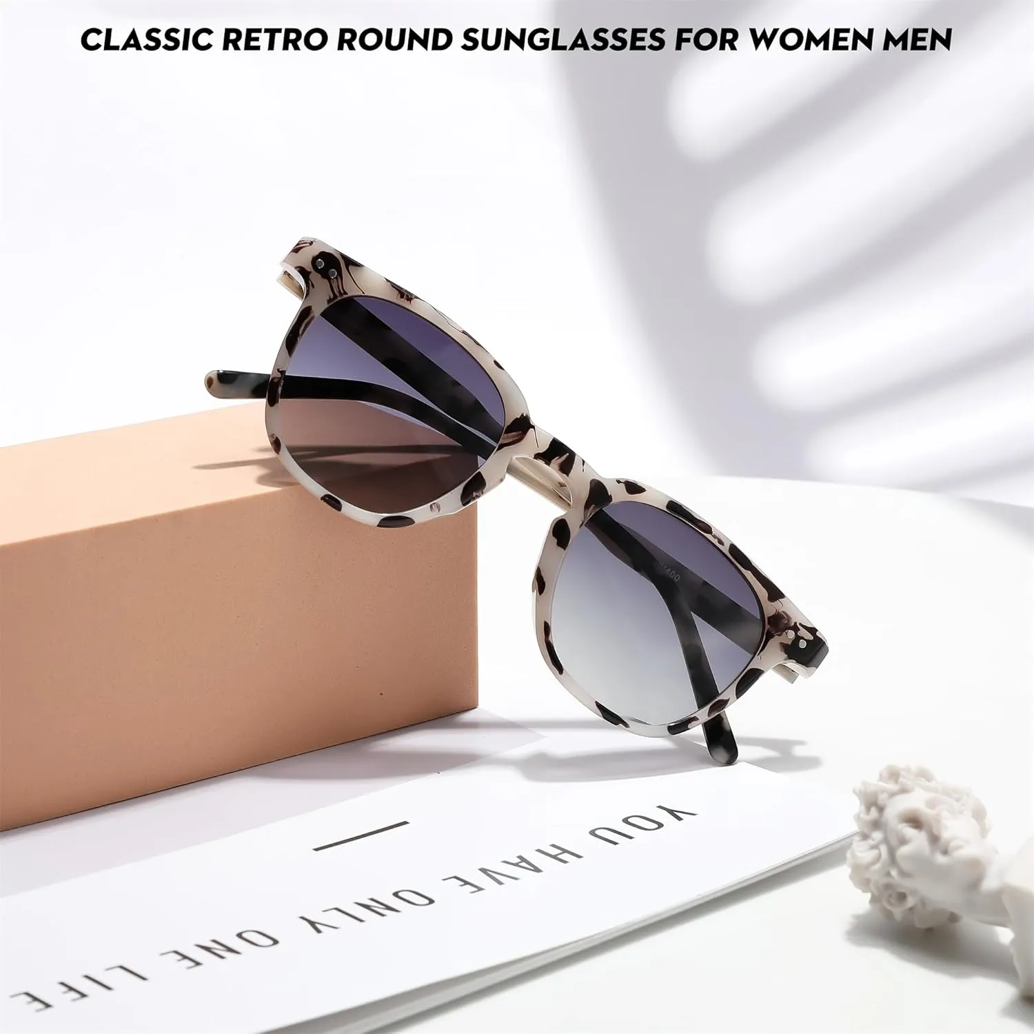 FEISEDY Classic Polarized Sunglasses Retro Round Sunglasses for Women Men Trendy Shades B0002