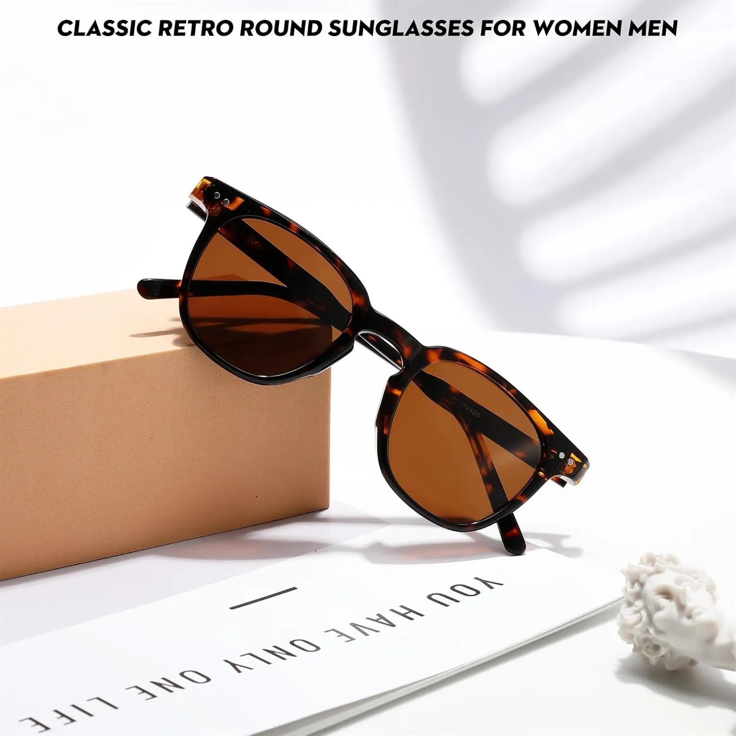 FEISEDY Classic Polarized Sunglasses Retro Round Sunglasses for Women Men Trendy Shades B0002