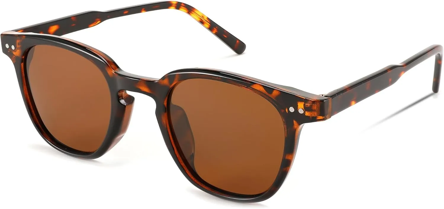 FEISEDY Classic Polarized Sunglasses Retro Round Sunglasses for Women Men Trendy Shades B0002