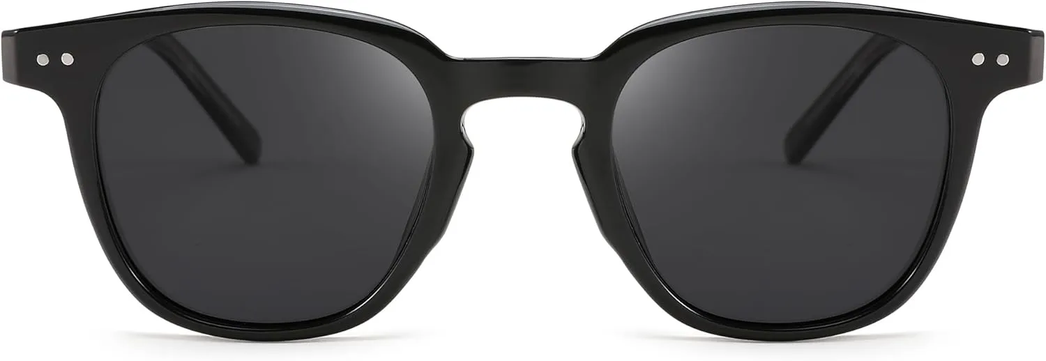 FEISEDY Classic Polarized Sunglasses Retro Round Sunglasses for Women Men Trendy Shades B0002