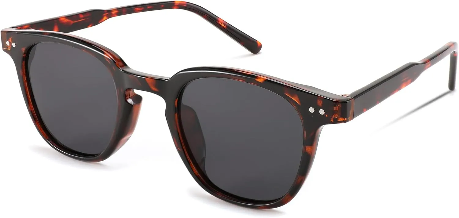 FEISEDY Classic Polarized Sunglasses Retro Round Sunglasses for Women Men Trendy Shades B0002