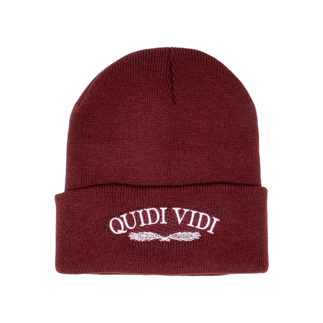 Quidi Vidi Beanie